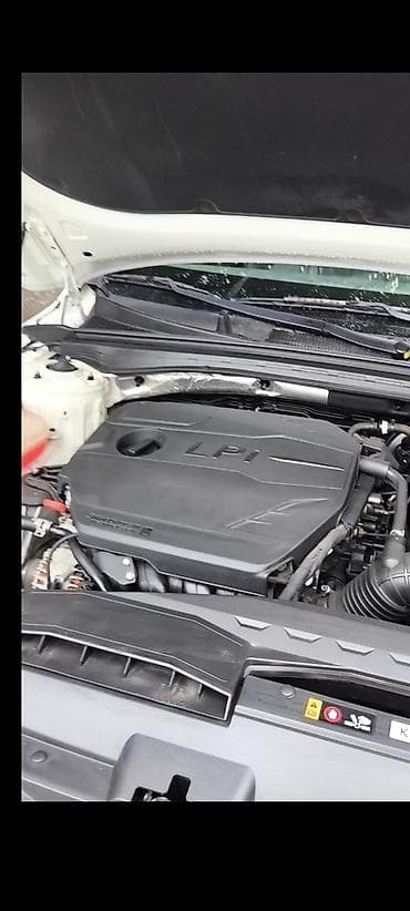 fast: Kia K5: 2022 г., 2 л, Автомат, Газ, Лифтбек — 9