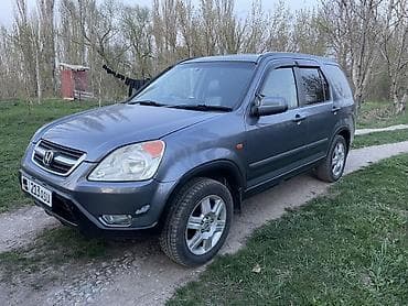 Honda CR-V: 2002 г., 2 л, Автомат, Бензин, Кроссовер
