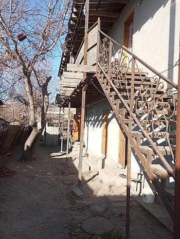 Дрова Орех, Самовывоз