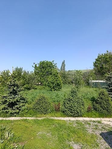 пш метр: 8 соток, Бизнес үчүн, Кызыл китеп, Техпаспорт — 4