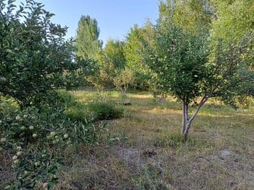 кайынды дом: Дом, 90 м², 5 комнат, Собственник — 35