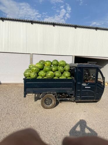 ауди rs7 цена в бишкеке: Легкий грузовик, Стандарт, 2 т, Б/у — 8