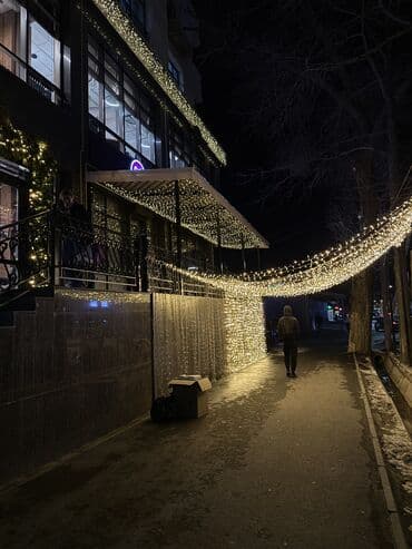 балык оптом: Гирлянда — 9