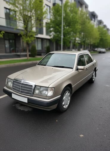 полировка для авто: Mercedes-Benz W124: 1993 г., 2.2 л, Механика, Бензин, Седан — 1