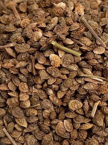 Эспарцет 
 
Ыссык кол!
 
100сом