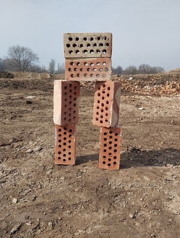 Тешиктүү, Бышкан кирпич, Жарым блок, 250×120×90