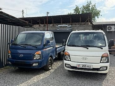 daf cf: Легкий грузовик, Hyundai, Стандарт, Новый — 9