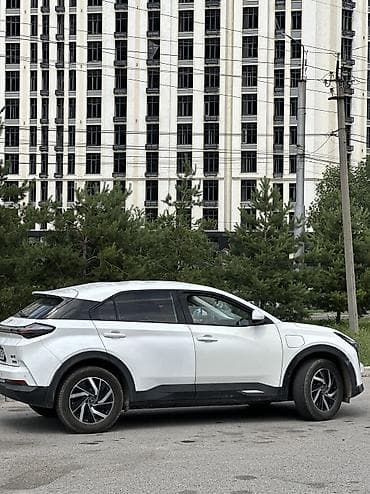 kia электромобиль: BYD : 2022 г., Электромобиль, Кроссовер — 6