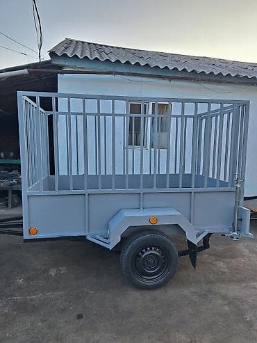 Чиркегич, Борттук, 3,5га чейин т, Жаңы — 7