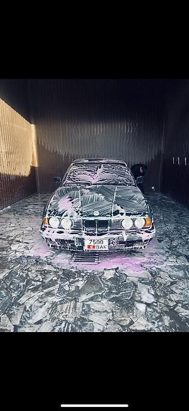 BMW: BMW 5 series: 1993 г., 2 л, Механика, Бензин, Седан — 1