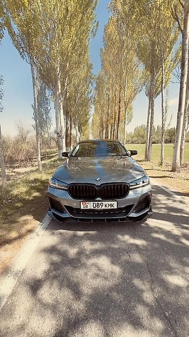 выдвижные пороги: BMW 5 series: 2019 г., 2 л, Автомат, Бензин, Седан — 5