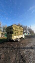 прайс лист на отделочные работы 2023 год: Таза беде доставкасы менен — 3