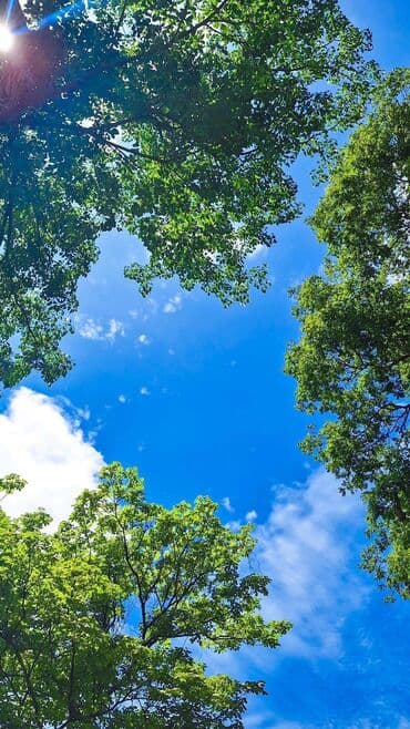 Опыт работы — средний (можно с небольшим опытом). Возраст: от 25 до 40