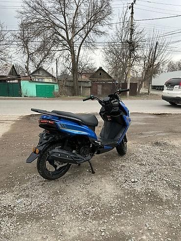 крыло для велика: Скутер классического городского формата, с ярким синим кузовом и белым — 3