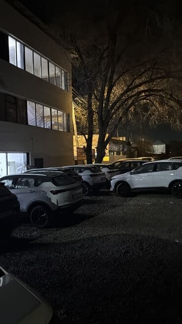 дом на колеса: Услуги автовоза – профессиональная перевозка автомобилей - Перевозка — 2