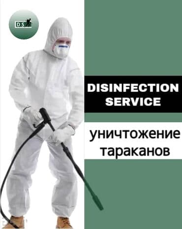 ремонт посудомоечных машин бишкек: Дезинфекция, дезинсекция, | Тараканы, | Дома, Кафе, магазины, Офисы — 1