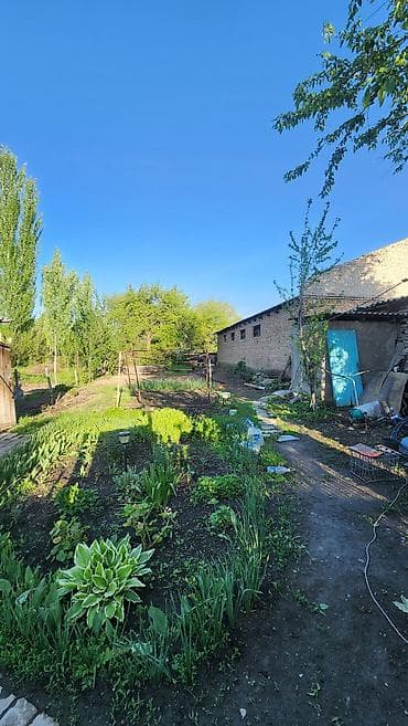 солнечный заряд: Дом с двором и хозяйственными постройками - Закрытая территория с — 5