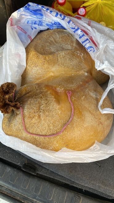 В наличии Таза сары май НАРЫН (Сары май/карын май) топленное масло!