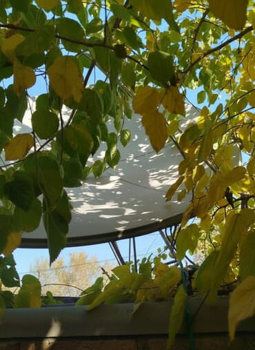 насос для дома: Продаю Б/у Мощный насос для выкачивания бассейна, бидон 20л — 1