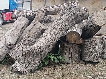 Дрова at lalafo.kg Дрова