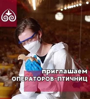 Требуется Птичник, Оплата: Ежемесячно