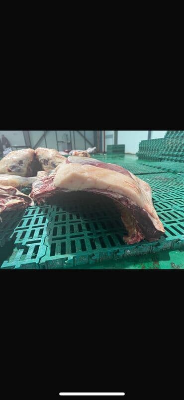 меняю на скот: Жылкынын эти  — 8