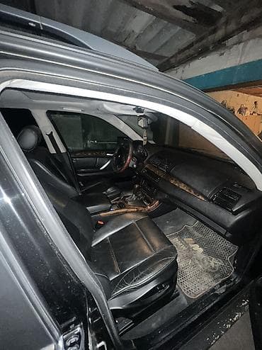 Собаки: Продаю | Бык (самец), Тёлка | На откорм, На забой, Для разведения — 5