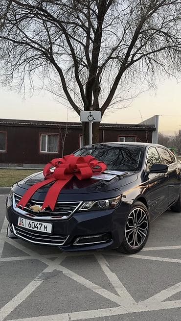 Товары для праздников: Праздничные банты для мероприятий !!! - Большие декоративные банты — 1