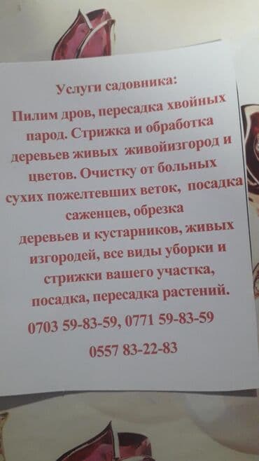 электрокоса бишкек: Газон чапкыч — 3