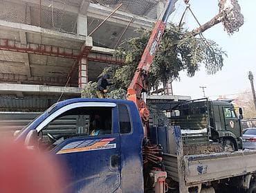 t 4: Стрела 8 м, 4000 т, Борт 2000 кг — 5