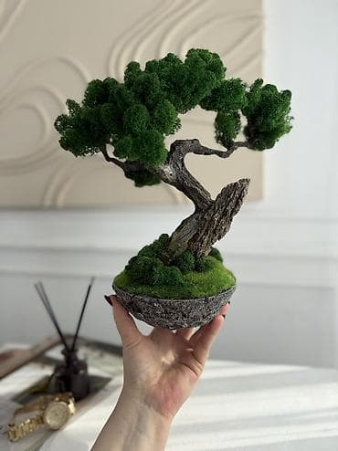 пул: В переводе с японского Бонсай означает «дерево, выращенное в блюде» — 1
