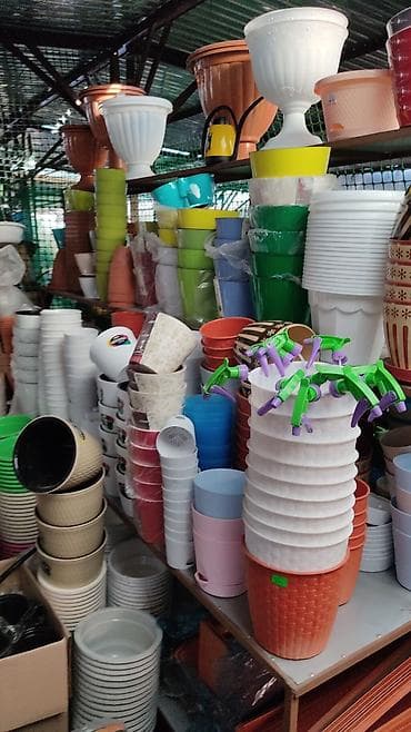 Комнатные растения: Комнатные,уличные,садовые,горшки для цветов разные виды и — 2