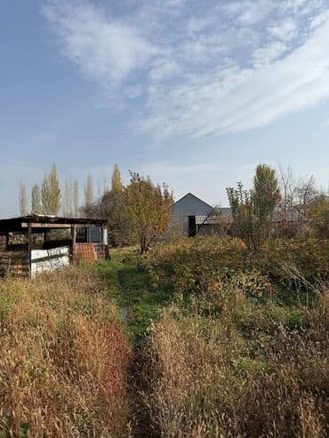 бишкек продаю дом село дордой 2: Дом, 125 м², 6 комнат, Собственник, Косметический ремонт — 4