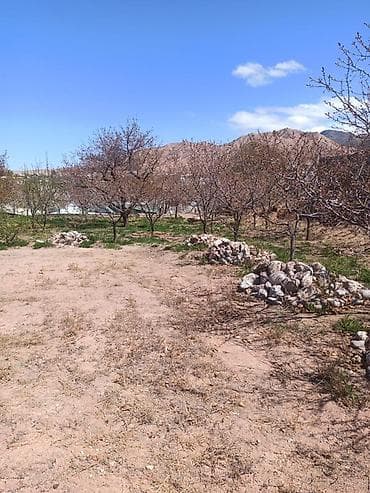 Продажа участков: 10 соток, Красная книга — 4