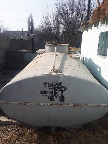 Грызуны: Продаю | Корова (самка), Бык (самец), Тёлка — 1