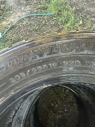 сапок 2 скатный: Шины 205 / 60 / R 16, Всесезонная, Б/у, Комплект, Легковые, Dunlop — 1