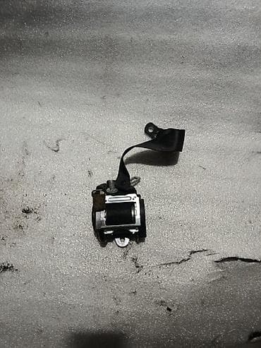 Масляные радиаторы: Ремень Kia — 1