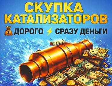 scher khan: 🤑🤑🤑КАТАЛИЗАТОР АЛАБЫЗ🤑🤑🤑СКУПКА КАТАЛИЗАТОРА ДОРОГО🤑🤑🤑Работа мастера — 2