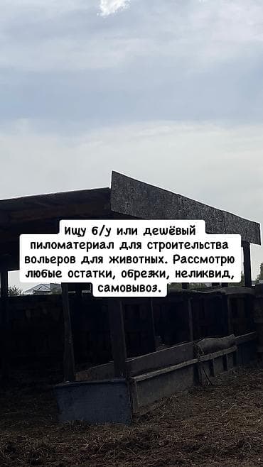 неликвит: Ищу б/у или дешёвый пиломатериал для строительства вольеров для — 1