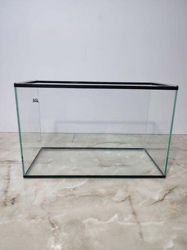 аквариумная рыбка: Прямоугольные — 5