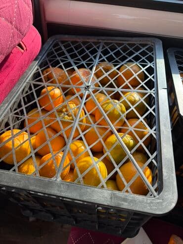 оптом мандарины: Мандарины — 1