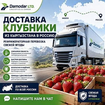 Доставка клубники из Кыргызстана в Россию Рефрижераторная перевозка