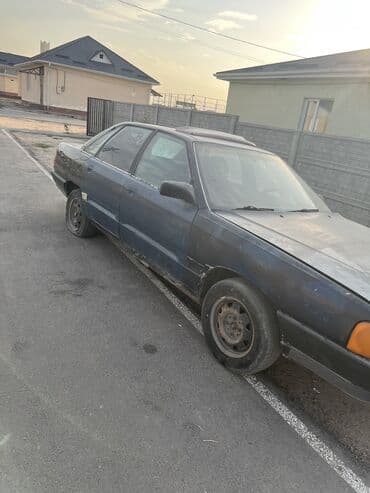 продам бу оборудование для птицефабрики: Продаю | Корова (самка) | Для разведения | Нетель — 7