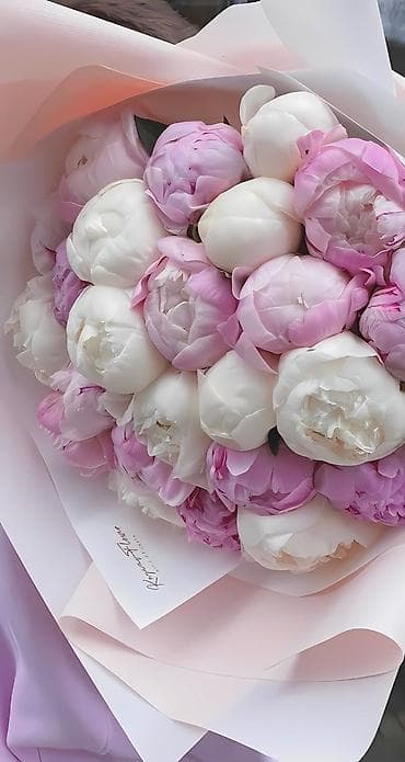 жмых подсолнечный: Пионы — сезонные букеты премиум-класса - Состав: плотные махровые — 2