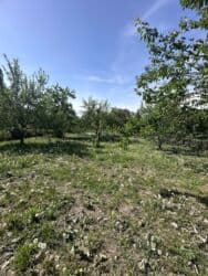 продаю дом в воронцовке: 16 соток, Для строительства, Красная книга — 3