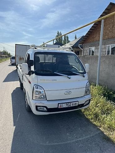 byd plus: Легкий грузовик, Hyundai, Стандарт — 1