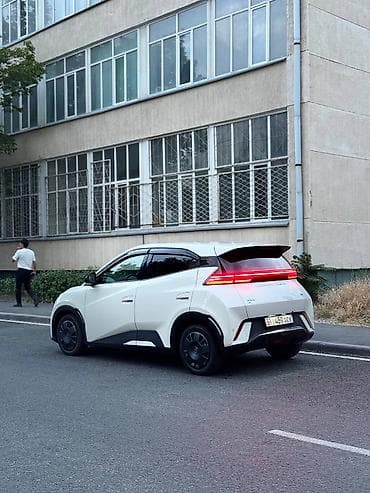 8900: BYD E2: 2024 г., Электромобиль, Хэтчбэк — 4