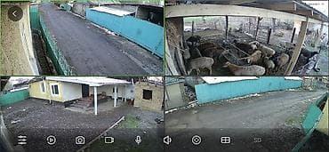 can bus: 🔥 АКЦИЯ! Видеонаблюдение под ключ 🔥 🏠 Для дома • дачи • магазина • — 7