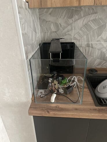 аквариум с рыбкой: Аквариум с комплектом оборудования и декором - Прозрачный — 4