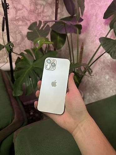 iphone 5 black: IPhone 12 Pro, Б/у, 256 ГБ, Серебристый — 2